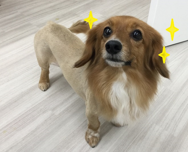 kirakirasunny.JPG