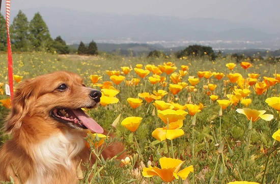 sunny3.jpg